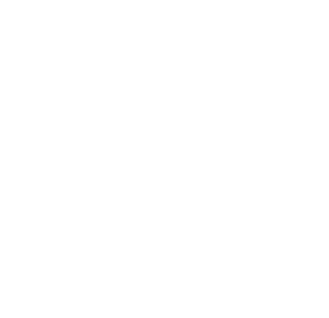 Anglo Platinum Logo